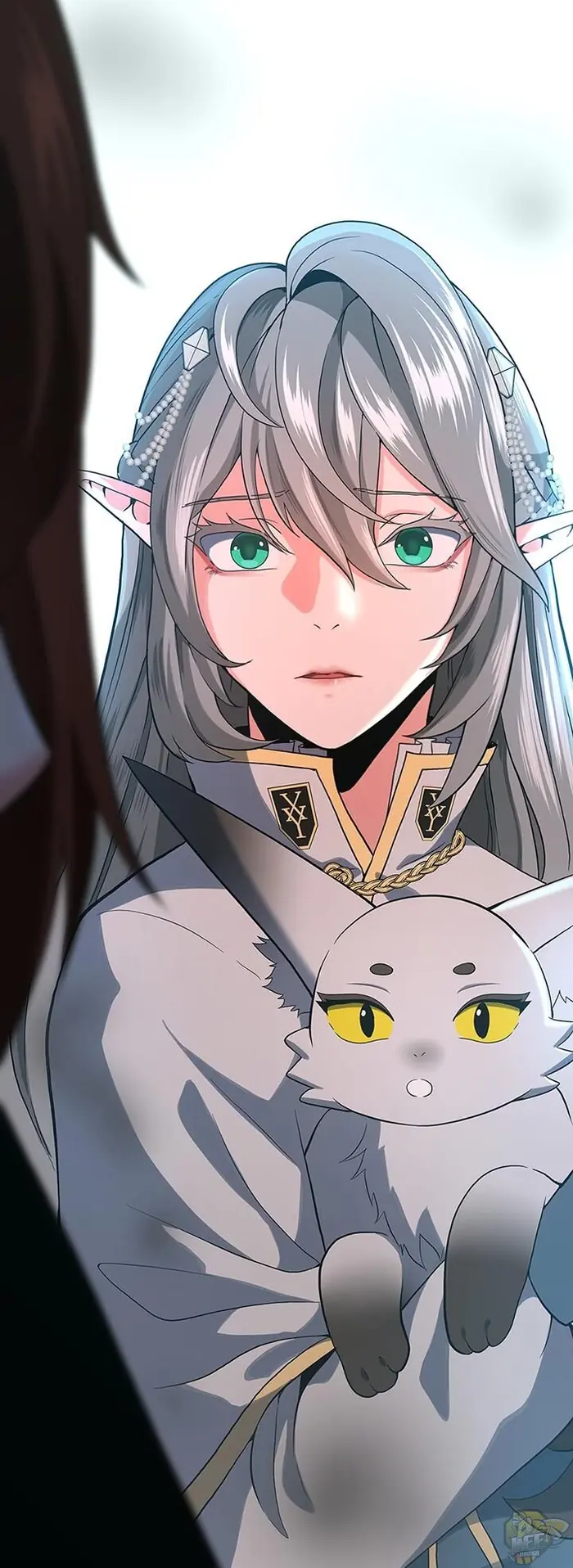The Beginning After the End Chapter 109 image 65_optimized